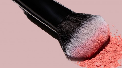 The Untold Story of The Perfect Makeup Brushes You Need